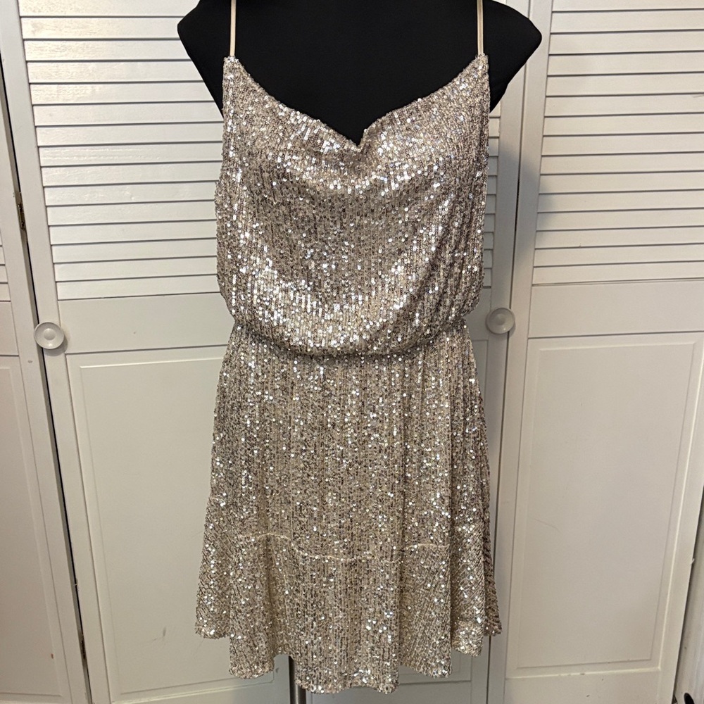 Elegant Sequin Dress